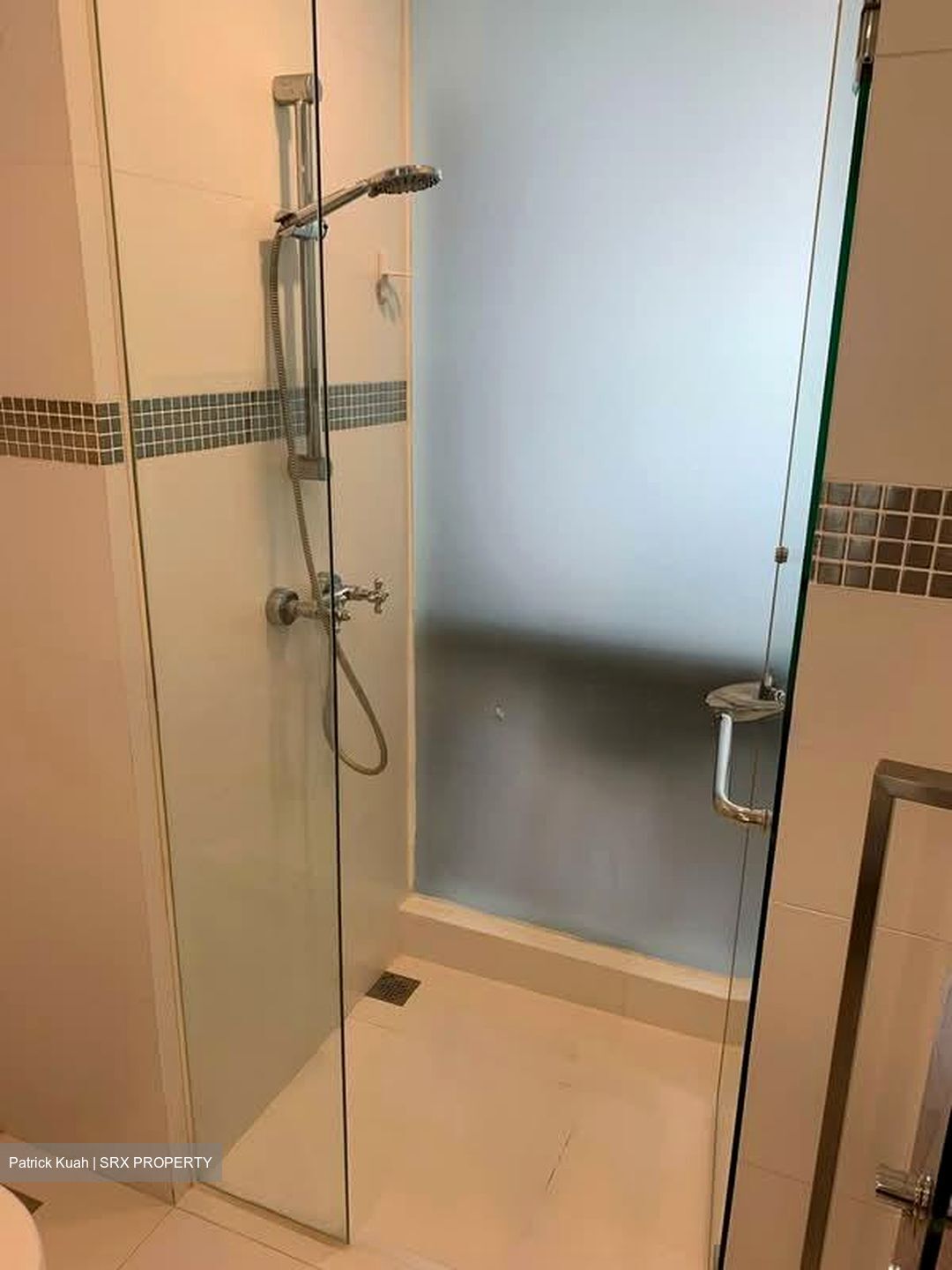 The Estiva (D5), Apartment #570174631